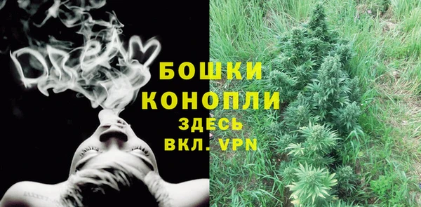 винт Бородино