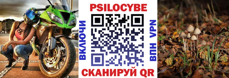 наркошоп  Данилов  Псилоцибиновые грибы мицелий 