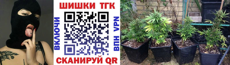 хочу наркоту  Данилов  Шишки марихуана план 